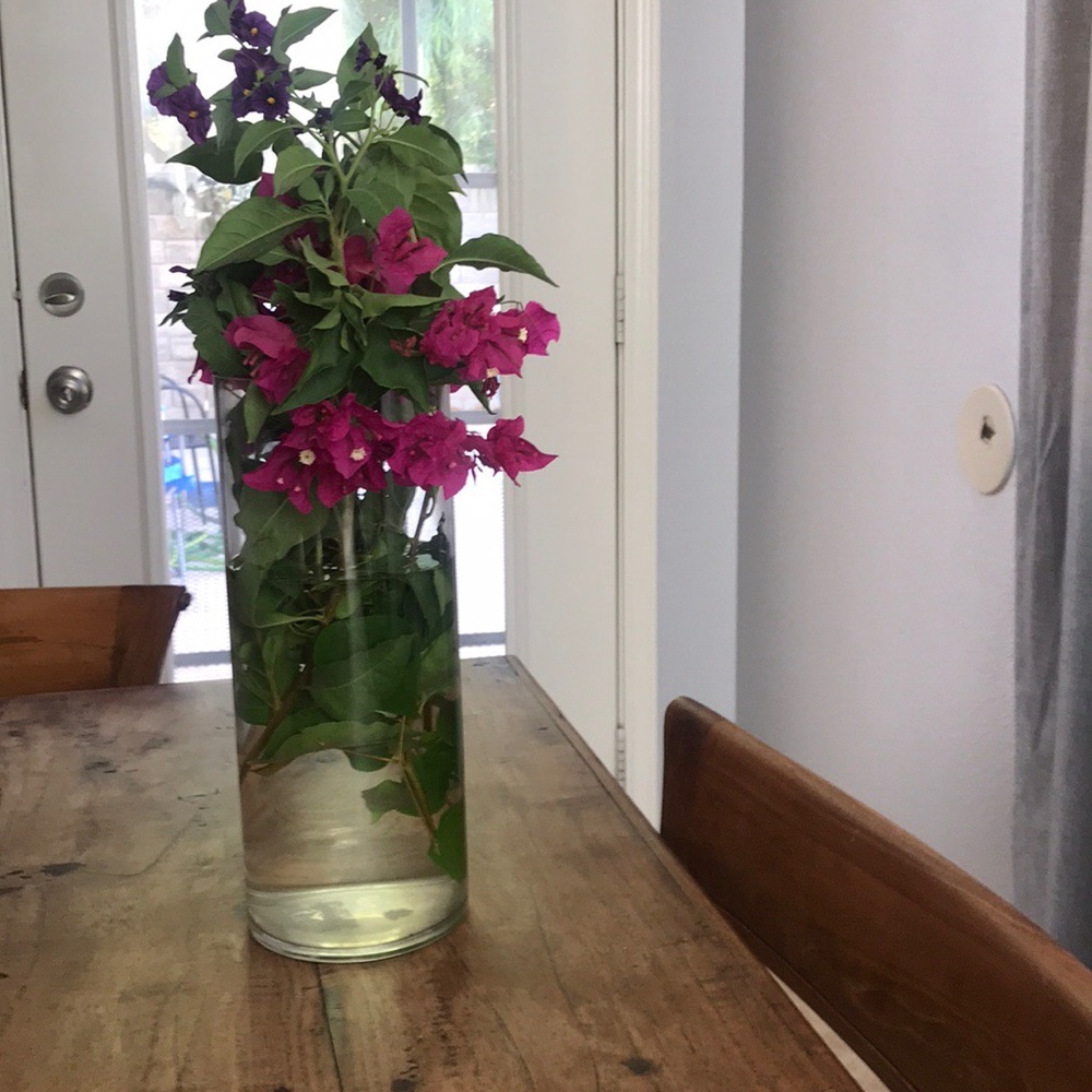 Meet your Posher, Anabel